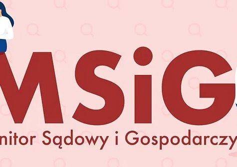 Ogłoszenie w Monitorze Sądowym i Gospodarczym Nr 42/2025, str 11 pozycja 10256 grafika